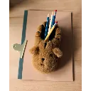 a29udGFpbmVyL25ldy80OTQ5LzIxMjAzNDQydjEucG5n.webp