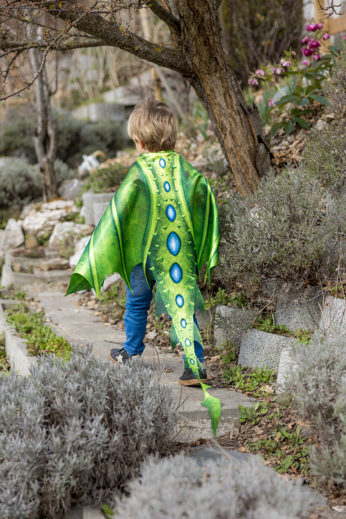 Ailes de dragon vertes en tissu avec masque - Great Pretenders ★