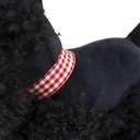 Peluche Walter le chien - Egmont Toys ★
