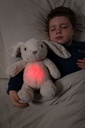 Veilleuse lapin LoveLight Billy Bunny - Cloud B ★