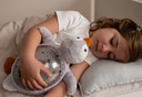 Veilleuse pingouin Tranquil Penguin Gris - Cloud B ★