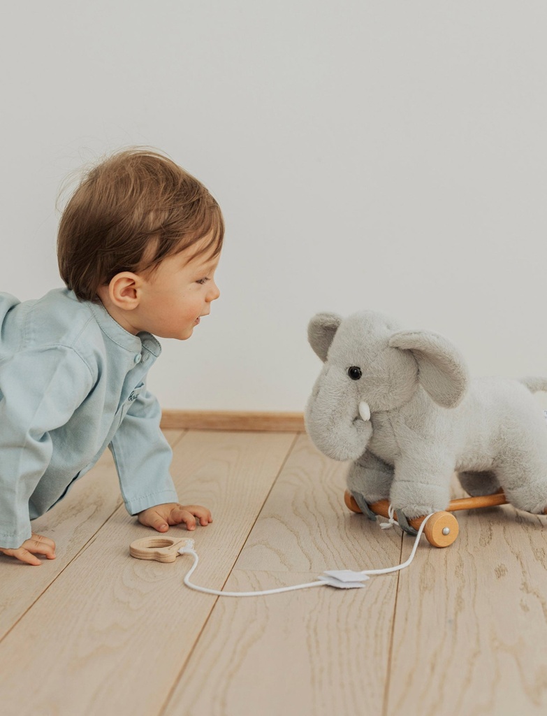 Animal à tirer Eléphant - Teddy Kompaniet ★