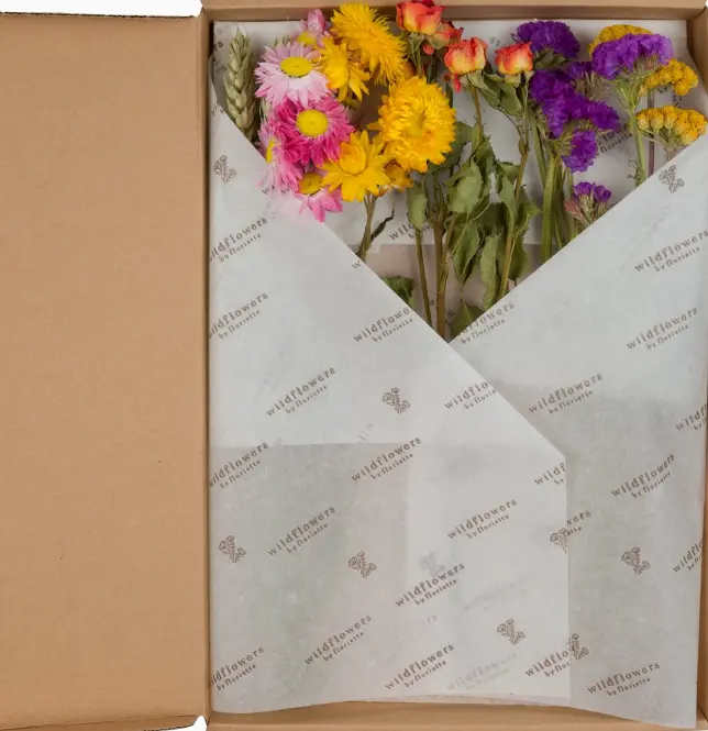 Capture d'écran 2025-04-26 213200.webp