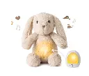 7703-BB2-Grande_83f00114-bbf1-4f53-8fc5-42af9c99dc41.webp