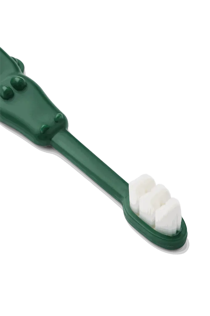 Fabio_All_Together_Toddler_Toothbrush_LW20176_2567_Yellow_mellow_Garden_green_2.webp