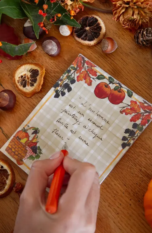 Capture d'écran 2025-09-12 160342.webp