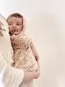 COCOON OAT 11-EAN 5404027800714.webp