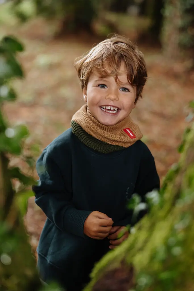 241002-HH-Forêt-0001.webp
