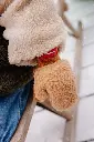 11122024-HH-0091.webp