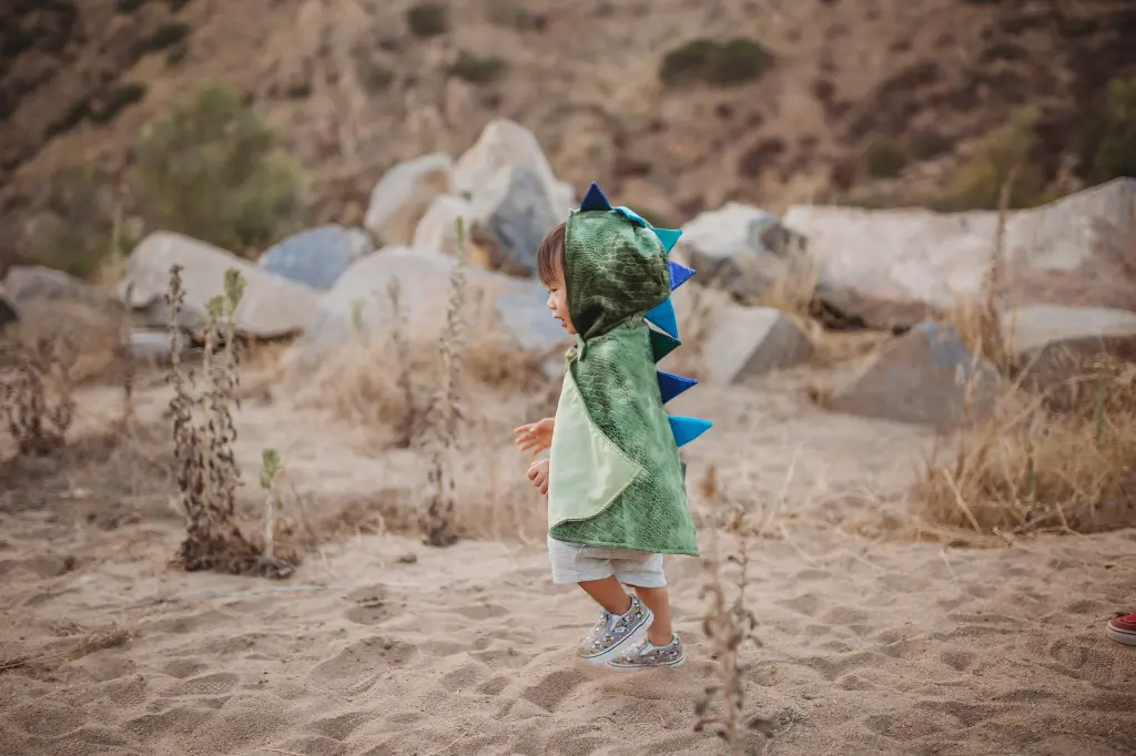 54901 54902LS13.webp