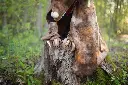 56807 56805LS12.webp
