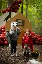 50875 57565LS34.webp