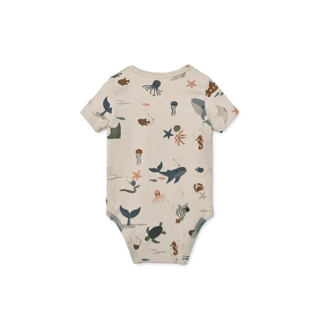 a29udGFpbmVyL25ldy80OTQ5LzEzMzkxODY4djEucG5n (1).webp