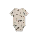 a29udGFpbmVyL25ldy80OTQ5LzEzMzkxODY4djEucG5n (1).webp