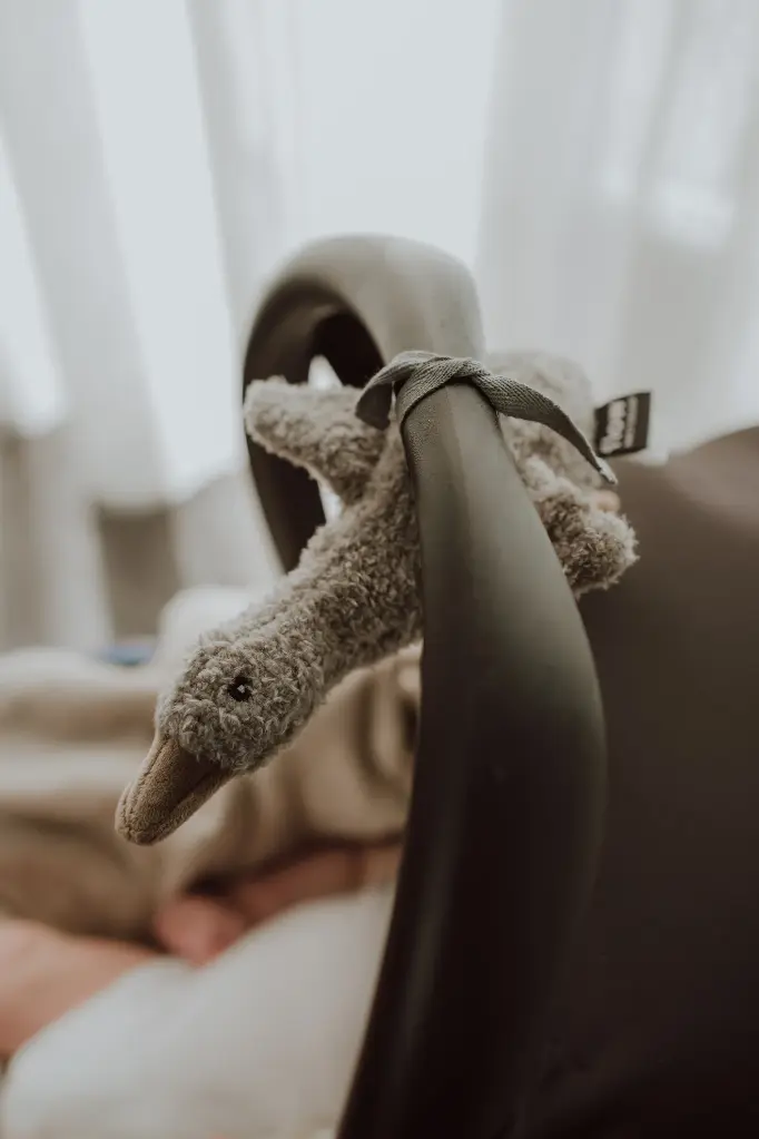 flow-amsterdam-onderweg-knuffel-hartslag (1).webp