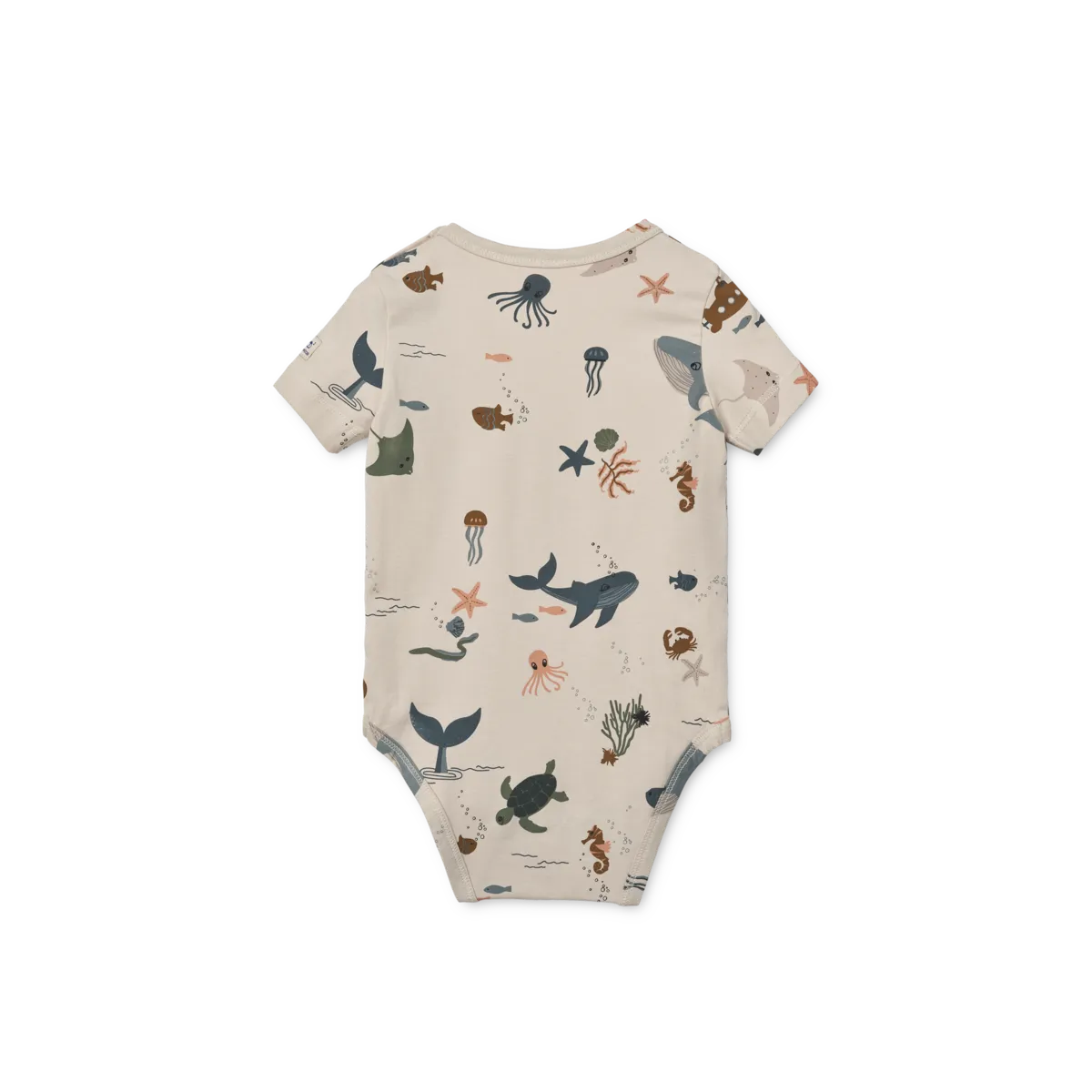 a29udGFpbmVyL25ldy80OTQ5LzEzMzkxODY4djEucG5n (2).webp