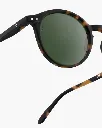 sun-d-tortoise (4).webp
