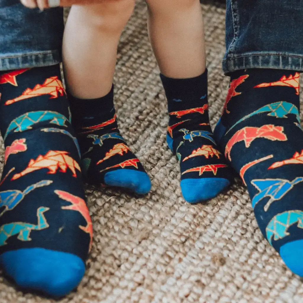Chaussettes adultes Dino - Faves (36/41)