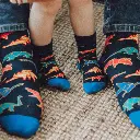 Chaussettes adulte Dino - Faves