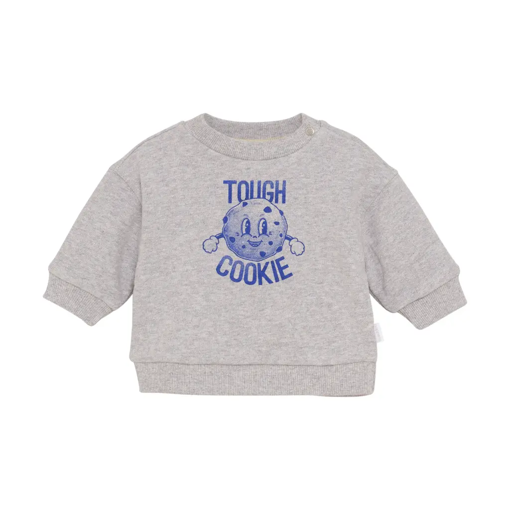 Sweat Sardesi Grey Melange - Noppies (9 mois)