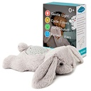 Dream Buddies Benny Bunny Night Light - Cloud B