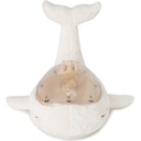Veilleuse baleine Tranquil Whale White Family - Cloud B