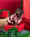 Veste de Noël pour petit chien - Admas