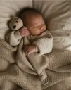 peluche Teddy tokki