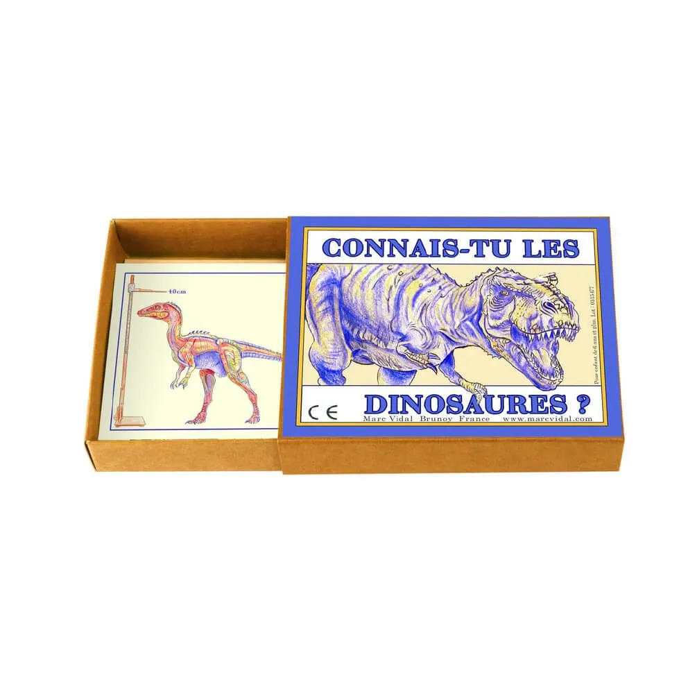 Boîte Connais-tu les dinosaures ? - Marc Vidal