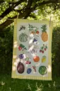 Torchon Eté Rustique - Caro from Woodland