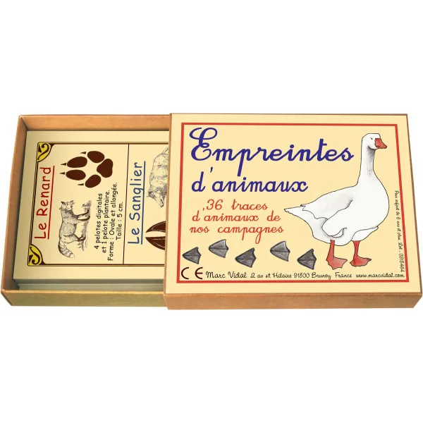 Boîte Empreintes d'Animaux -