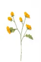 Fleur sauvage en feutre jaune - Nacha Interior