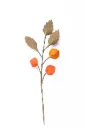 Branche de fleur de Physalis en feutre - Nacha Interior