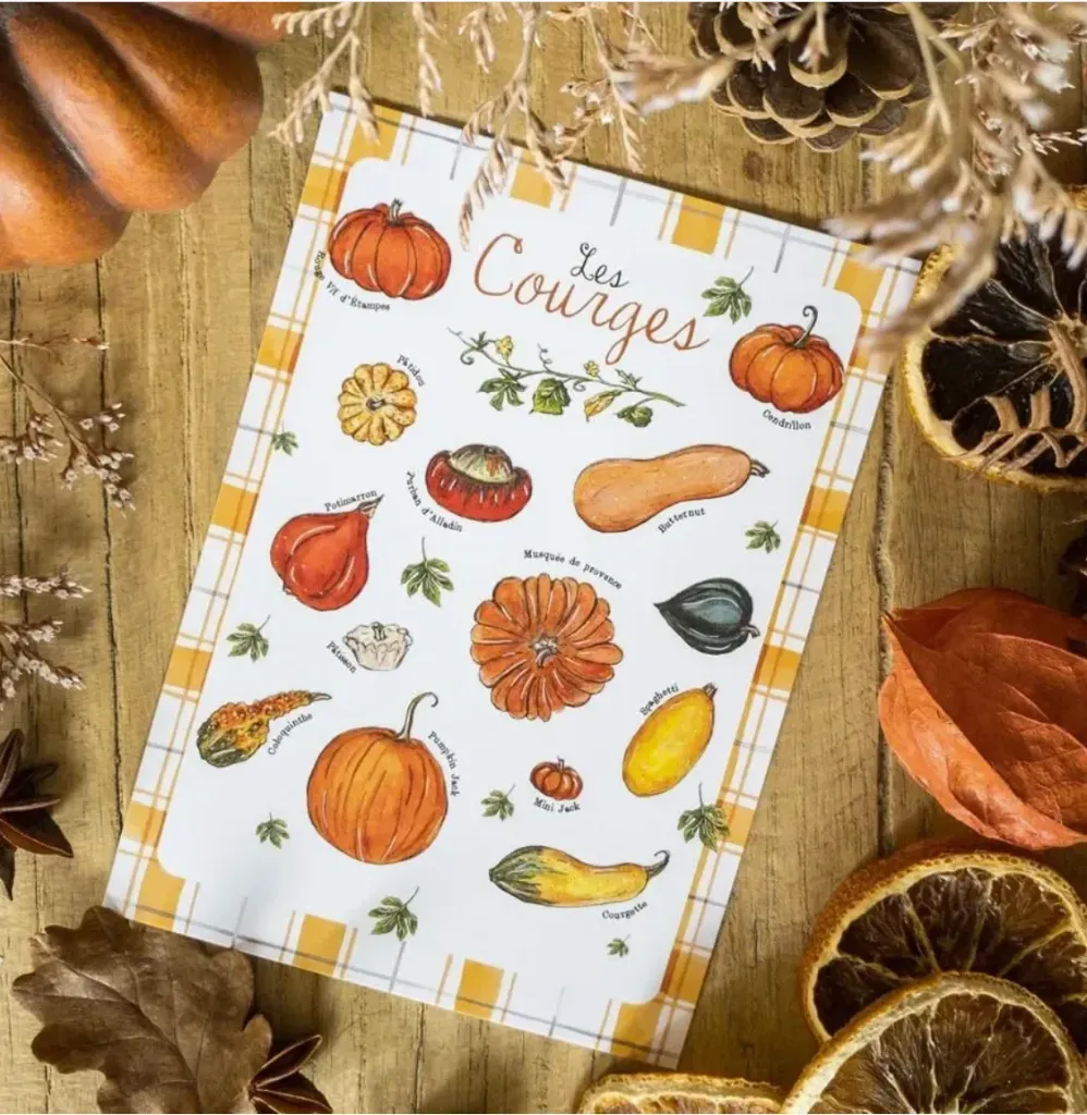 Affiche A4 Les Courges - Caro from Woodland