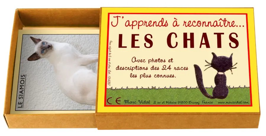 Boîte J'apprends à reconnaître les Chats - Liste de cadeaux d'anniversaire pour Célestin
