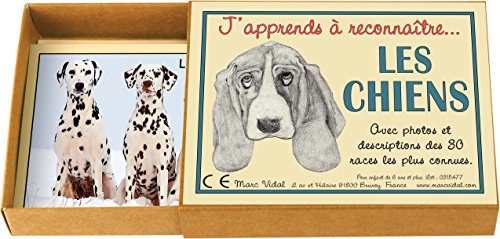 Box J'apprends à reconnaître Les Chiens - Marc Vidal