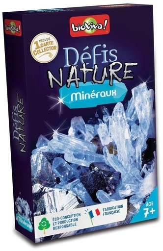 Défis Nature Minéraux - Liste de cadeaux d'anniversaire de Camille