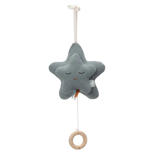 [LISTEMAELLEETOLIVIER18] Peluche musicale Star Sea Green - Liste de naissance de Maëlle Dewals et Olivier Parisi
